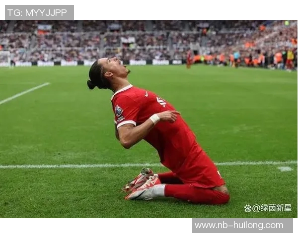 努涅斯在赛场上的崛起与挑战解析，未来能否成为足球界的新星